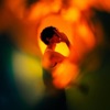 Gravity - Single