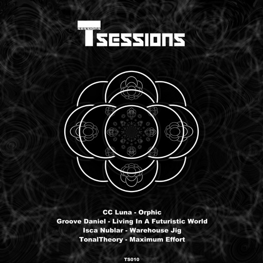 T Sessions 10 - EP by Various Artists