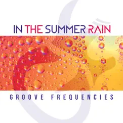 In the Summer Rain - Single by Groove Frequencies album reviews, ratings, credits