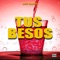 TUS BESOS (feat. SnapVisual & Drmartinezvzla) - Beto Garcia lyrics