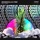 Bougenvilla & TMW - Wild Ones