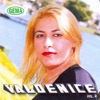 Valdenice, Vol. 4 (Ao Vivo)