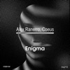 Enigma - Single