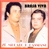 Brasa Viva