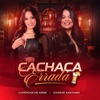 Cachaça Errada - Single