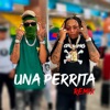 Una Perrita (Remix) - Single