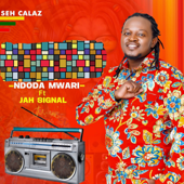 Ndoda Mwari (feat. Jah Signal) - Seh Calaz