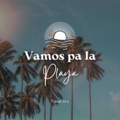 Vamos Pa La Playa artwork