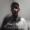 Sirds pelnos - Single