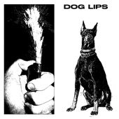 dog lips - Cobweb Catie