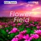 Flower Field - Aleh Famin lyrics