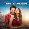 Teri Yaadein - Single, 2023