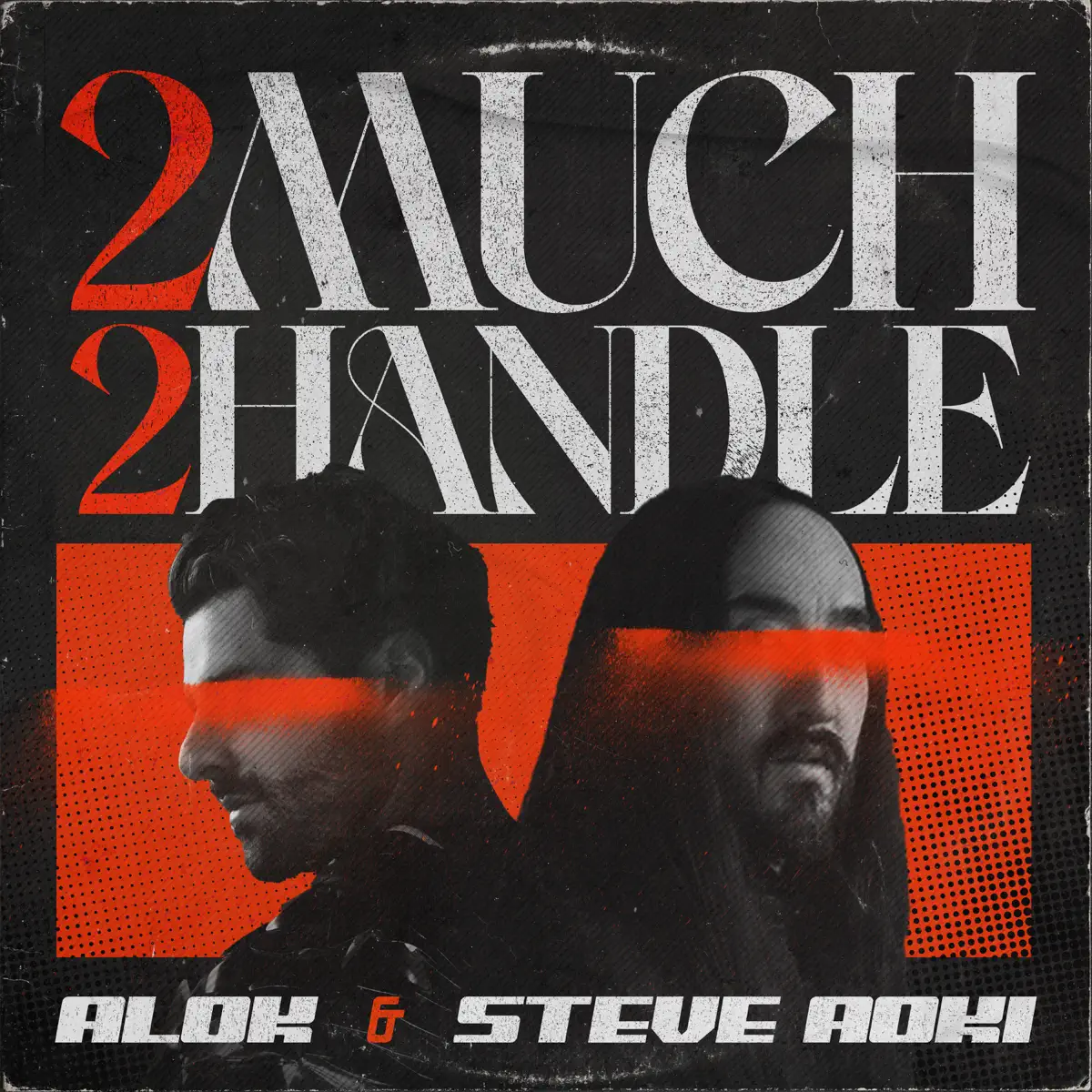 Alok & Steve Aoki - 2 Much 2 Handle - Single (2023) [iTunes Plus AAC M4A]-新房子