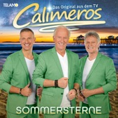 Sommersterne artwork