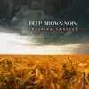 Raining Ambient and Deep Brown Noise album lyrics, reviews, download