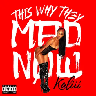 Nasty Bitch by Kaliii song reviws