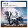 Reason & Sentiment - Single, 2022