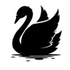 Cisne negro - Single album lyrics, reviews, download