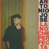 La Noche Perfecta artwork