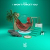 I Won't Forget You - Single