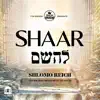 Shaar L’Hashem - Single album lyrics, reviews, download