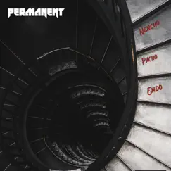Permanent - Single by Nencho, Pacho El Antifeka & Endo album reviews, ratings, credits