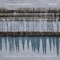 10ft Tall - The Rural Alberta Advantage lyrics