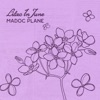Lilac In June - Single