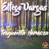El Fego Vargas - El Gorrioncillo