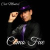 Cómo fue - Single