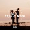 Why I Really Need - Single