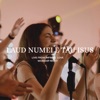 Laud Numele Tau Isus (feat. Salomeea Handaric) [Live] [Live] - Single