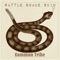 Rattle Snake Skin - Common Tribe lyrics