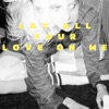 Lay All Your Love on Me - Single