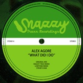 Alex Agore - What Did I Do