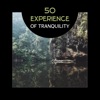 50 Experience of Tranquility – Deep State of Relaxation, Health and Well-Being, Beauty of Nature Sounds in Spa, Anxiety Free, Combat Insomnia with Yoga Nidra, Meditation