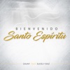 Bienvenido Santo Espíritu (feat. Sucely Diaz) - Single