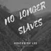 No Longer Slaves - Single