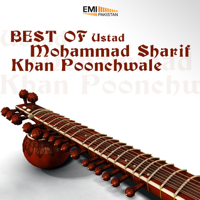 Ustad Mohammad Sharif Khan Poonchwale - Best of Ustad Mohammad Sharif Khan Poonchwale artwork