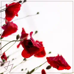 Symphony - Single - Madilyn Bailey Symphony - Single - Madilyn Bailey