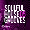 Soulful House Grooves, Vol. 05, 2017