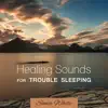 Healing Sounds for Trouble Sleeping album lyrics, reviews, download