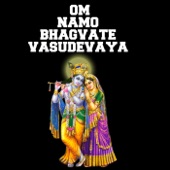 Om Namo Bhagvate Vasudevaya artwork