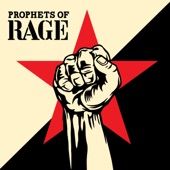 Prophets Of Rage - Fired a Shot