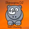 Rhinoceros DJ song lyrics