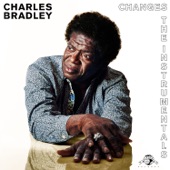 Charles Bradley - Changes (Instrumental)