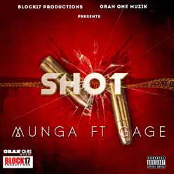 Shot - Single - Gage Shot - Single - Gage