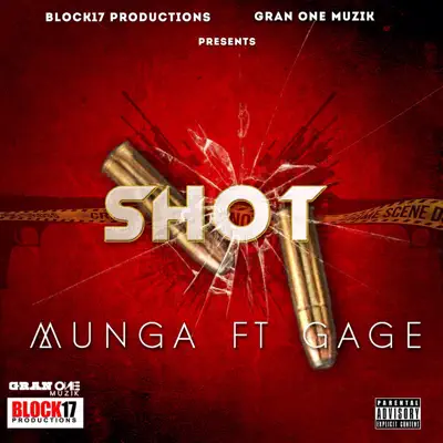 Shot - Single - Gage