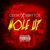 Mole Up (feat. DJ Brytos) - Single album lyrics, reviews, download
