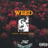 Weed - Are We Cool?